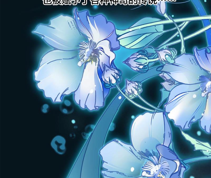第62话 冥界之花9