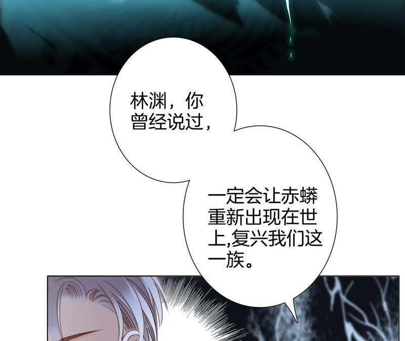 第56话 心意17