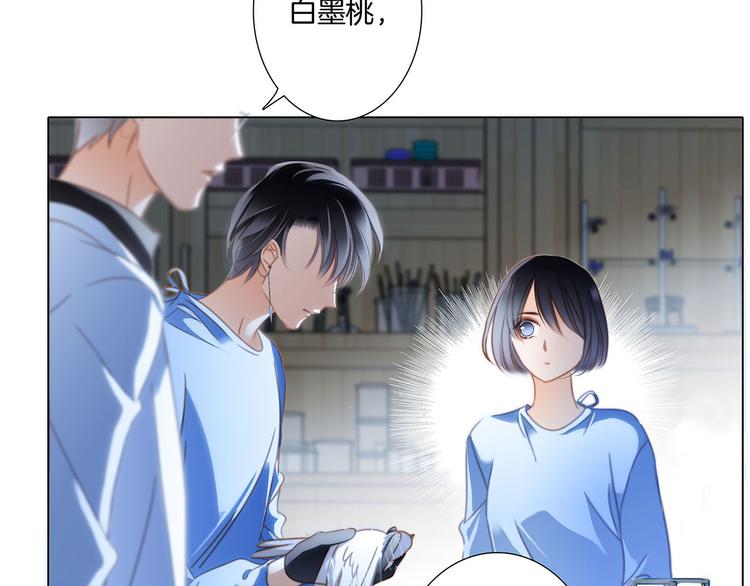 第17话 伪装8