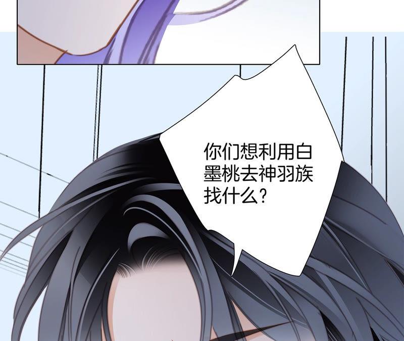 第77话 放归51
