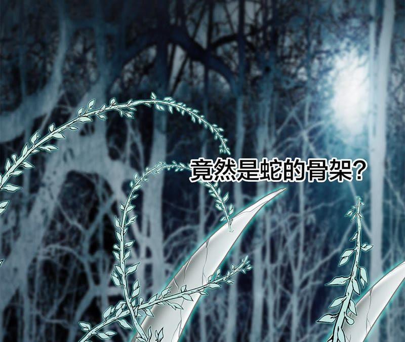 第52话 入口65