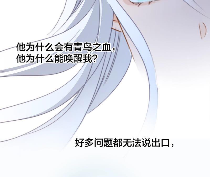 第66话 追踪26