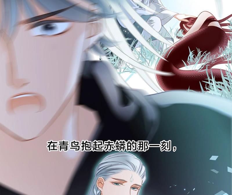 第65话 唤醒13