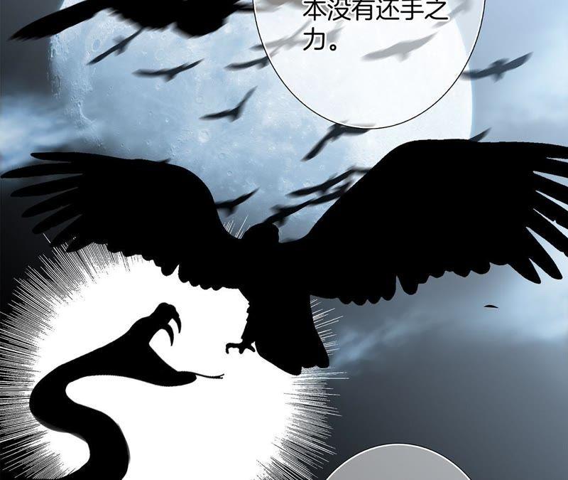 第32话 赤蟒17