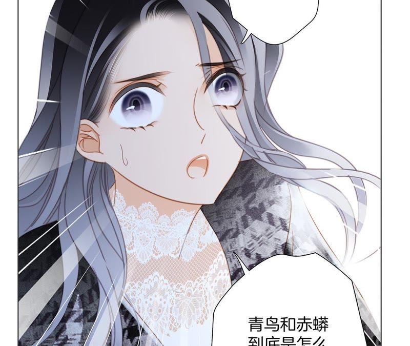 第38话 引路10