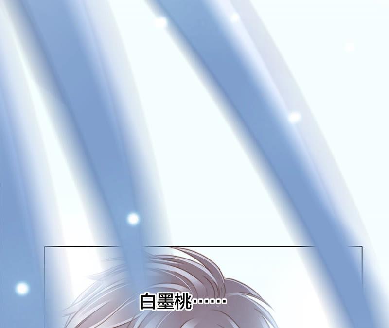 第73话 光芒58