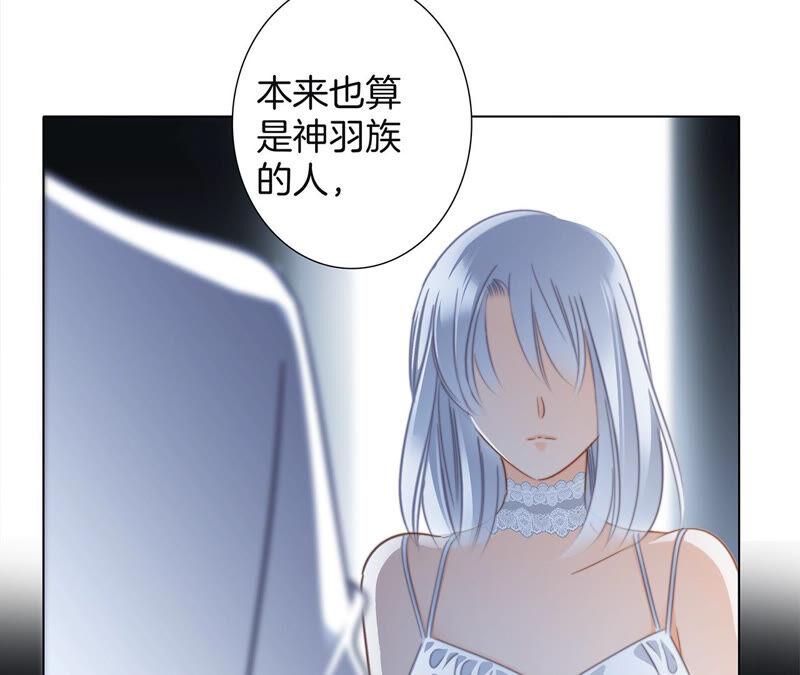 第77话 放归59