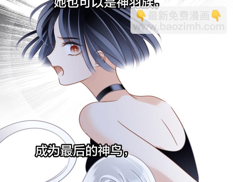 剧情梳理 特别篇51