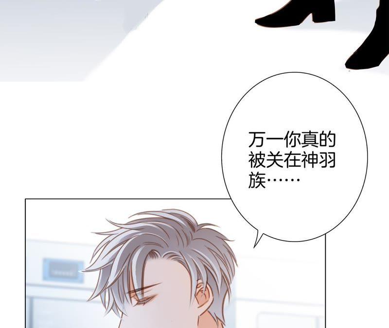 第49话 决心51