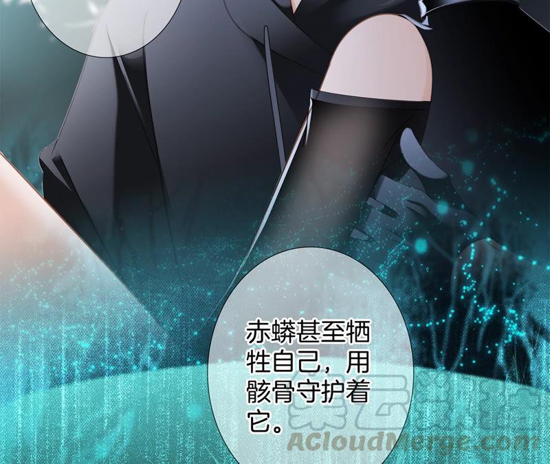 第63话 循环20