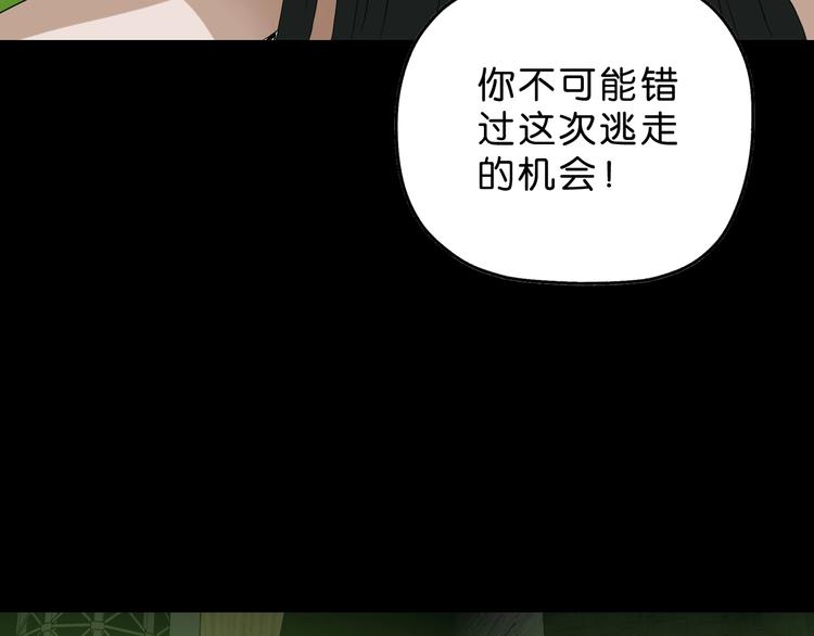 第58话 动物大暴走8