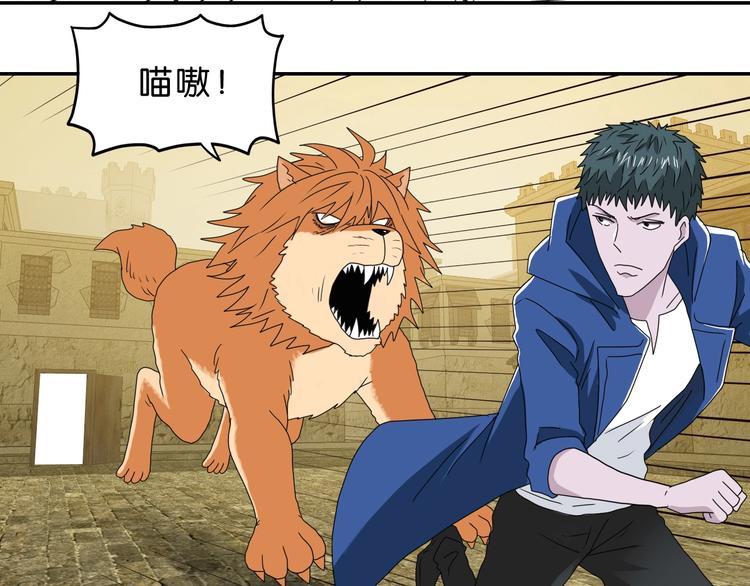 第33话 我变秃了，也变强了！102