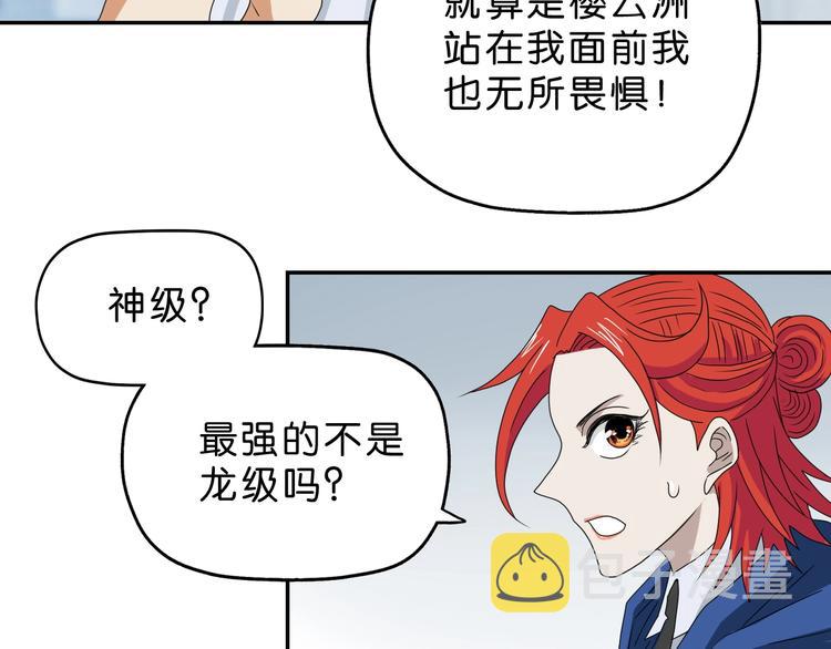 第54话 气的有丝分裂27