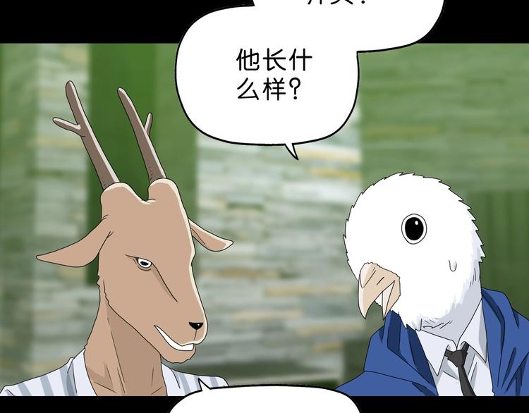 第58话 动物大暴走98