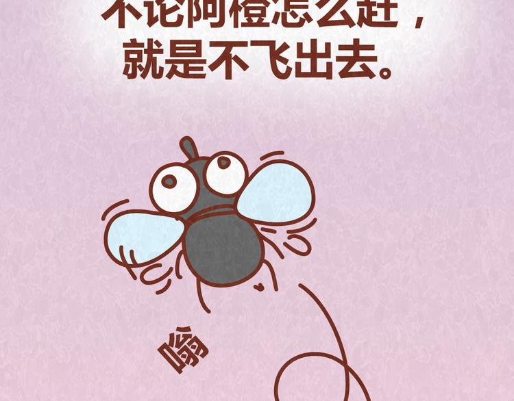 第52话 单身狗的超强愤怒13