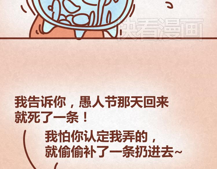 第25话 告白计划再次推迟14