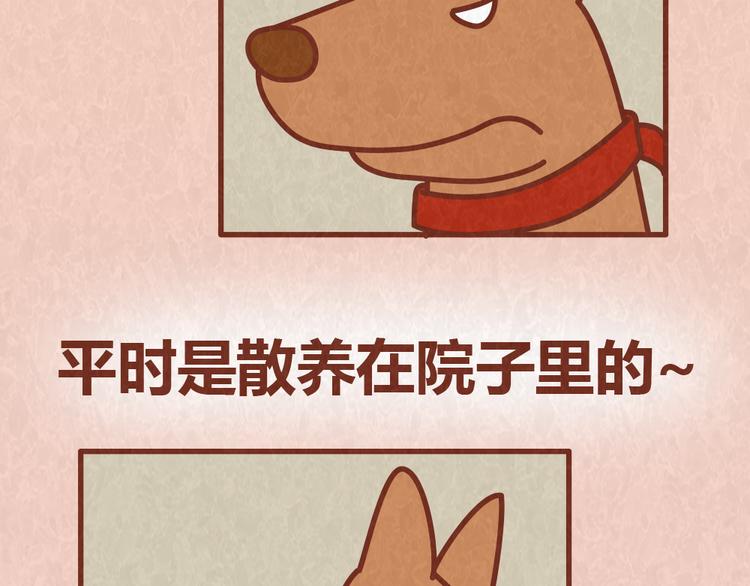 第54话 宠物和女婿，丈母娘选哪个？17