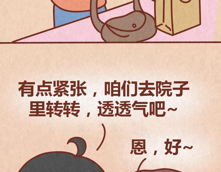 第54话 宠物和女婿，丈母娘选哪个？14