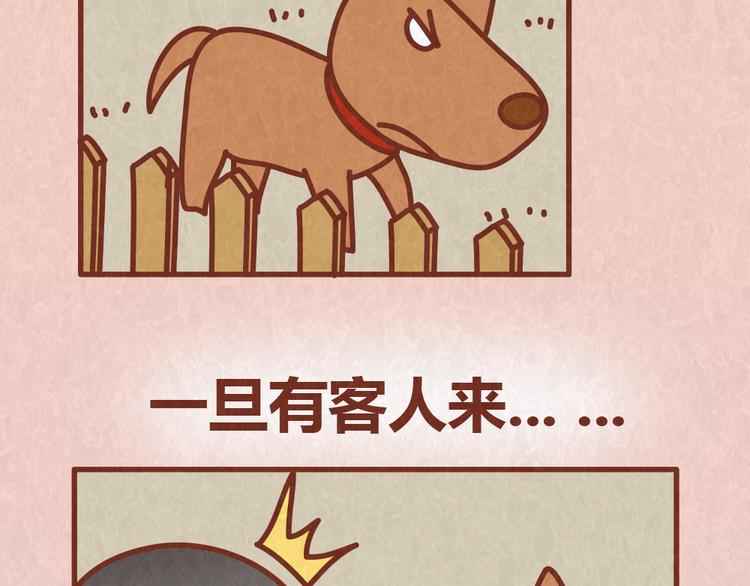 第54话 宠物和女婿，丈母娘选哪个？18