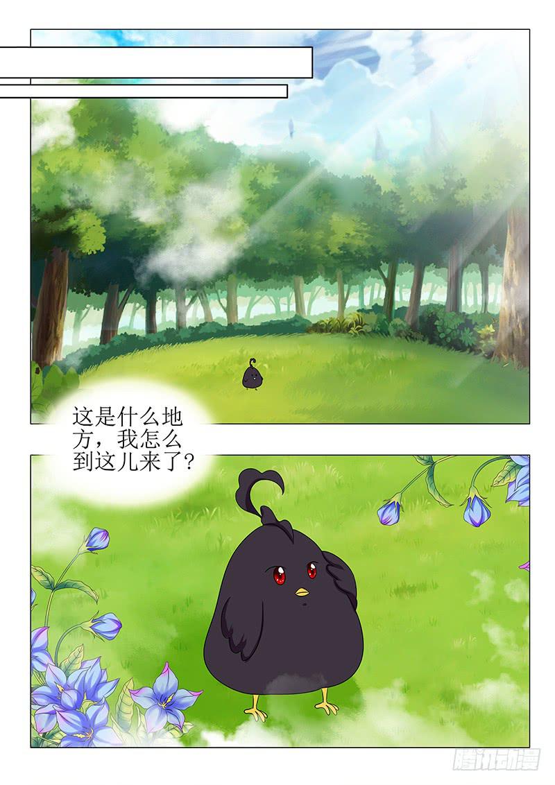 第七十八章12