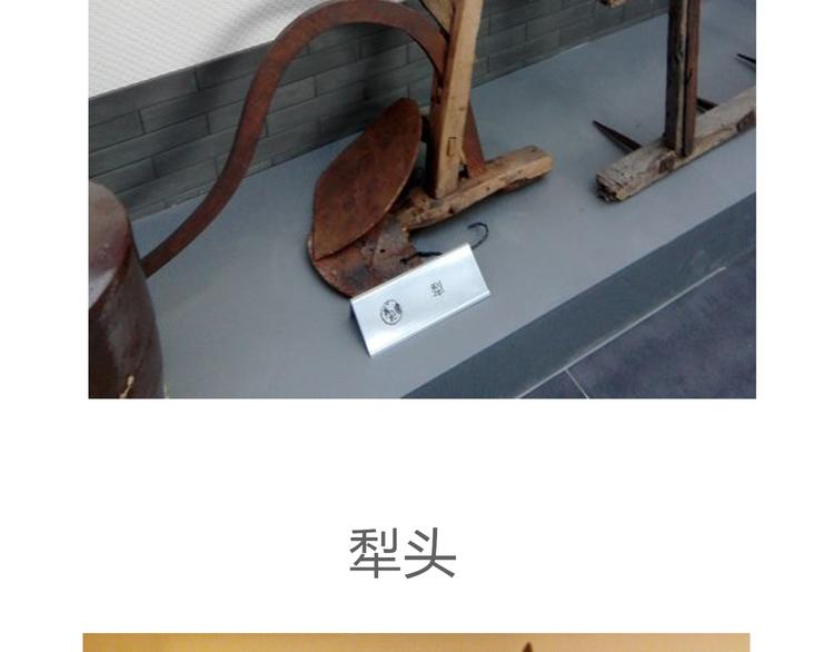 第五十章 你是否也在挨饿？130