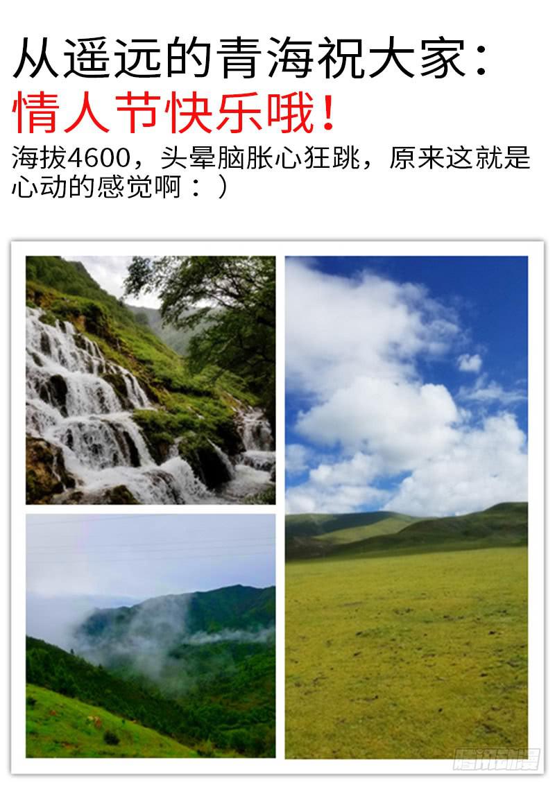 他想泡你12