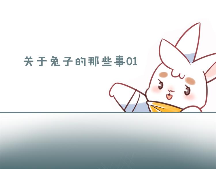 特别篇 关于兔子的那些事010