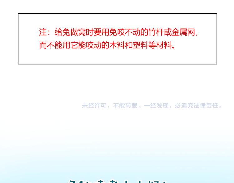 特别篇 关于兔子的那些事015
