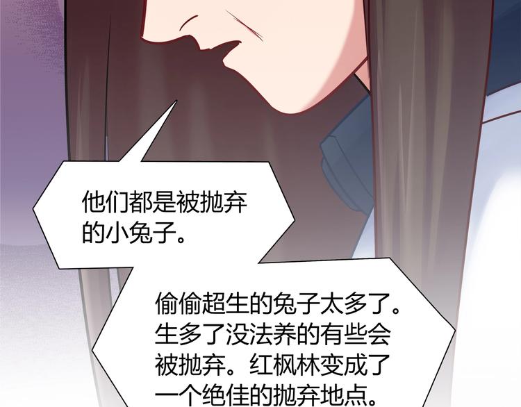 第87话 收养兔子？28