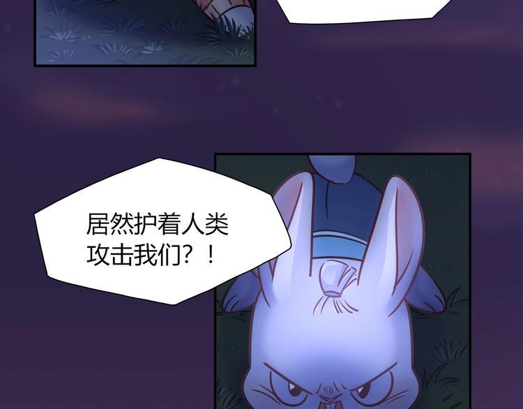 第87话 收养兔子？4