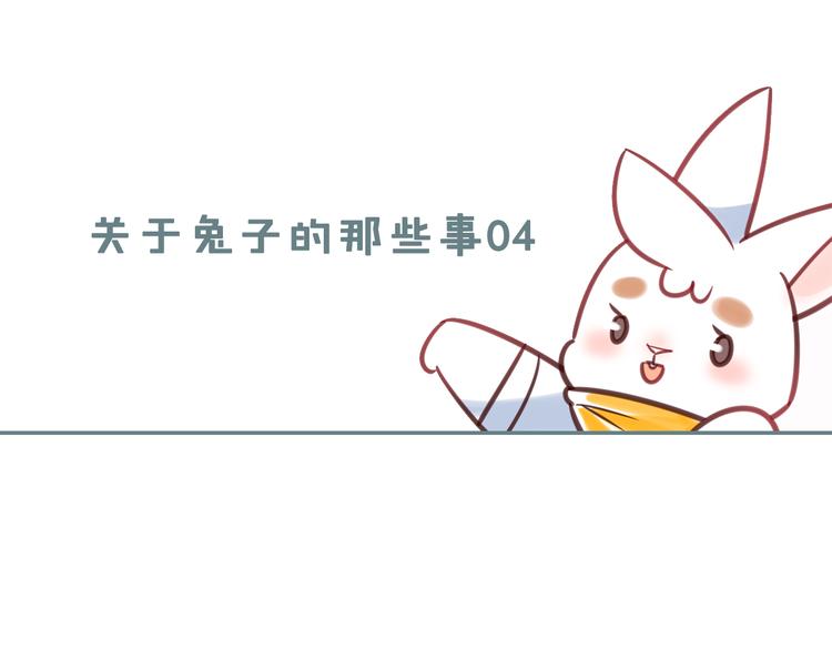 特别篇 关于兔子的那些事040