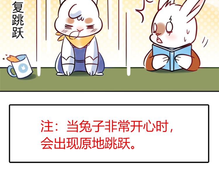 特别篇 关于兔子的那些事035