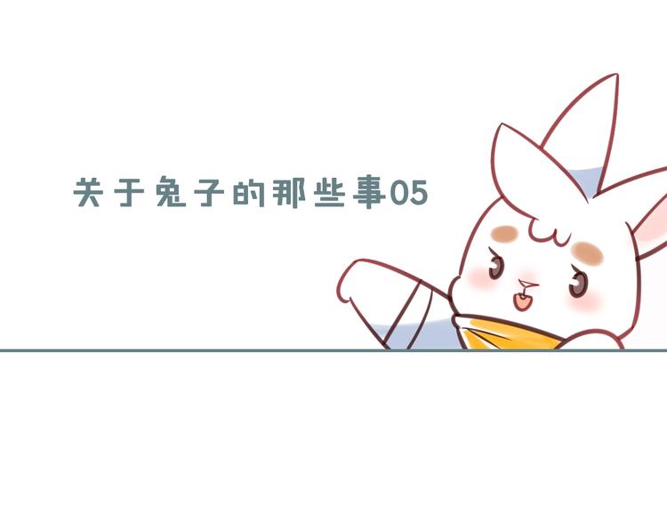 特别篇 关于兔子的那些事050