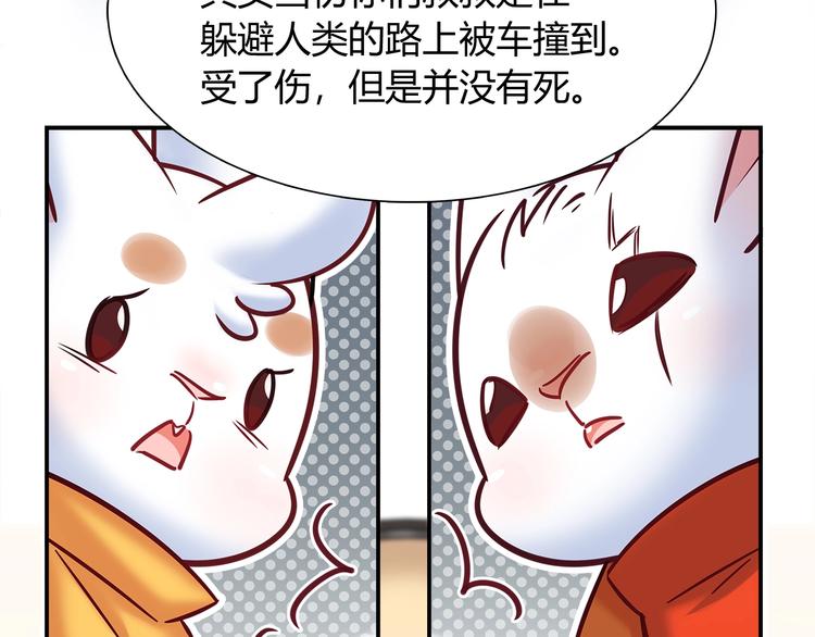 第87话 收养兔子？53