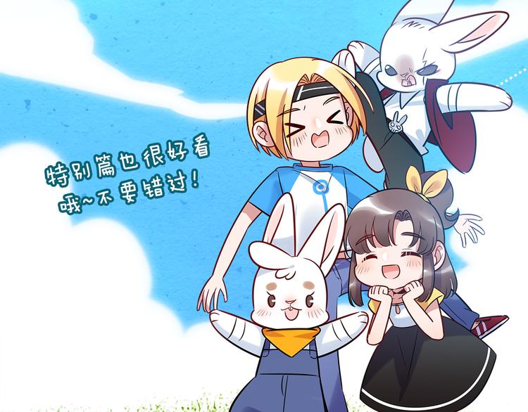 特别篇 关于兔子的那些事0517