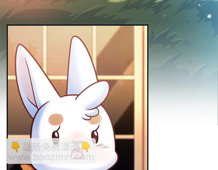 第87话 收养兔子？35