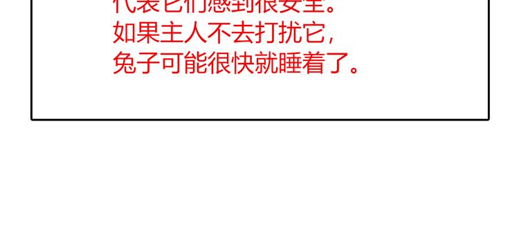 特别篇 关于兔子的那些事058