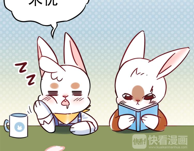 特别篇 关于兔子的那些事031