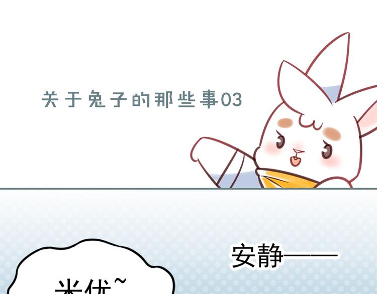 特别篇 关于兔子的那些事030