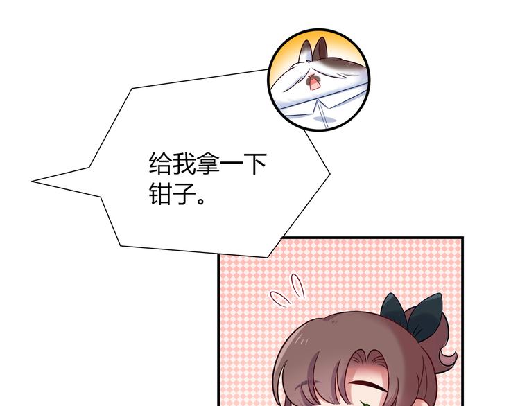 第77话 适合陪伴的机器兔3