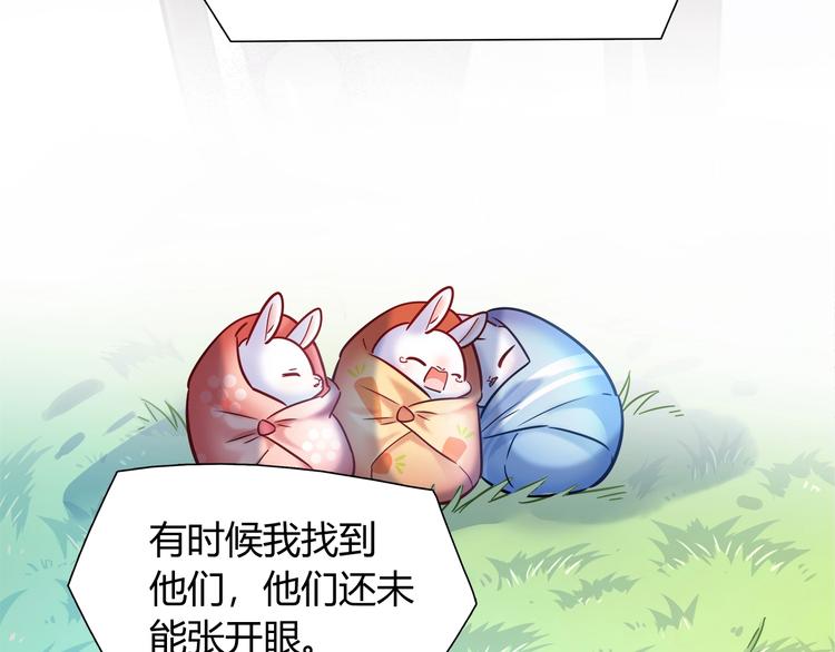 第87话 收养兔子？29