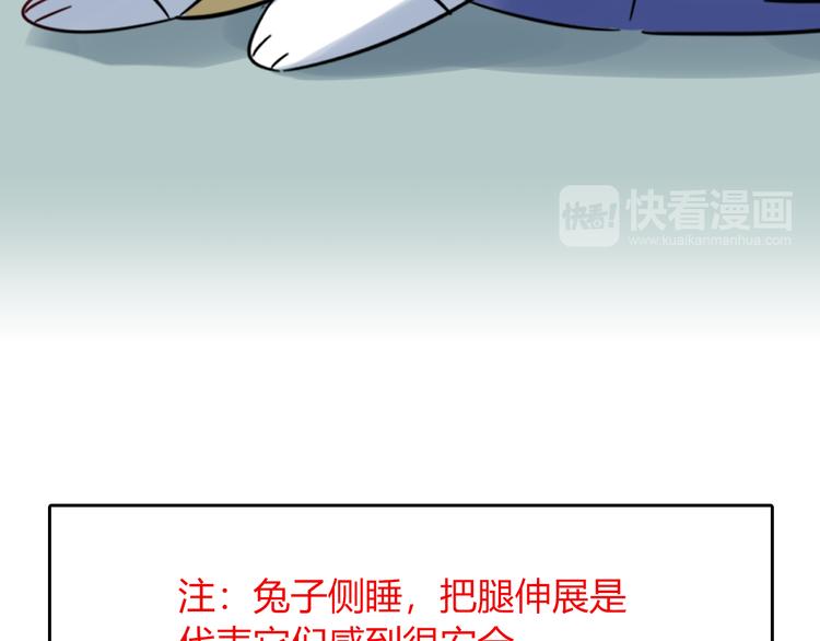 特别篇 关于兔子的那些事057