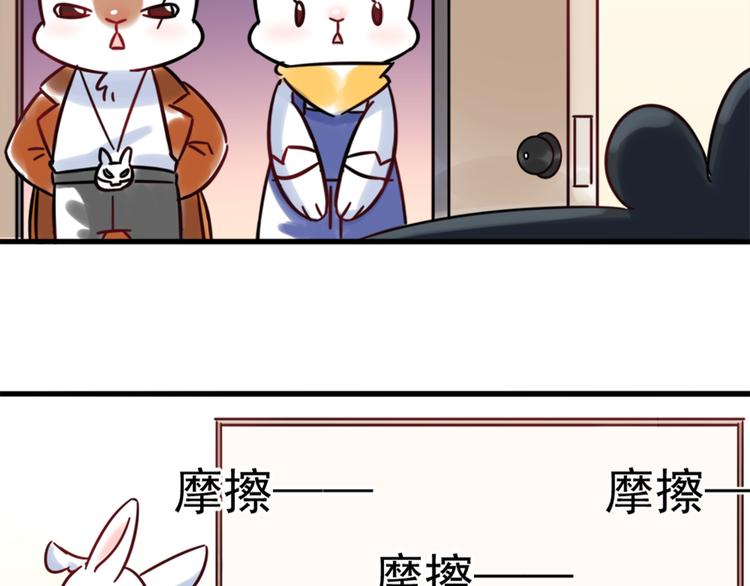 特别篇 关于兔子的那些事022