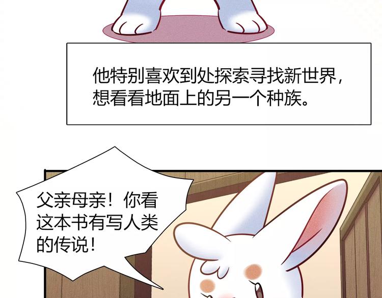 第45话 兔子与人类的故事53