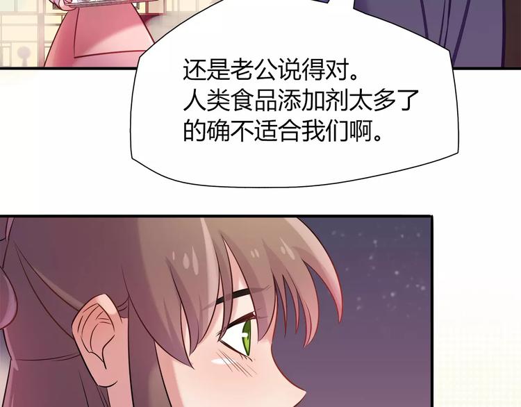 第24话 人兔都可以吃的饼干16