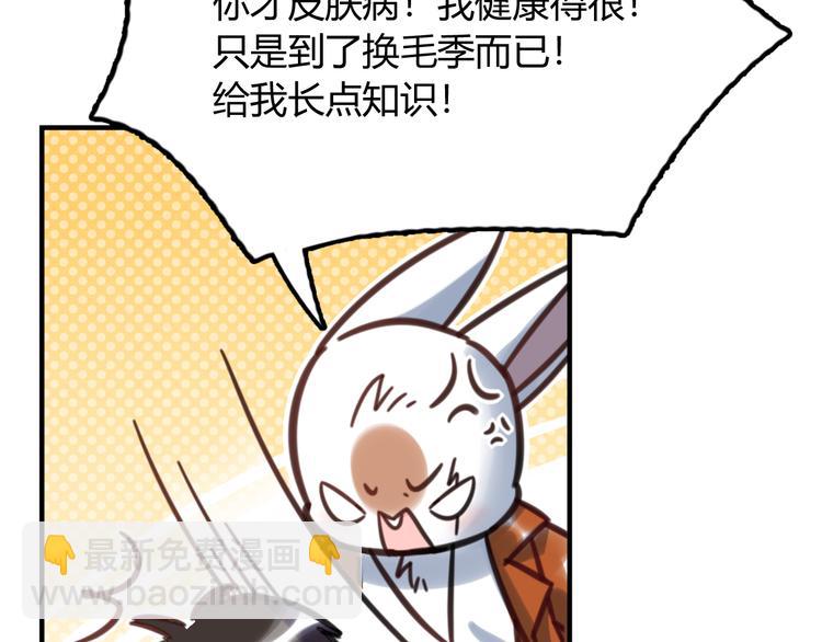 特别篇 关于兔子的那些事0310