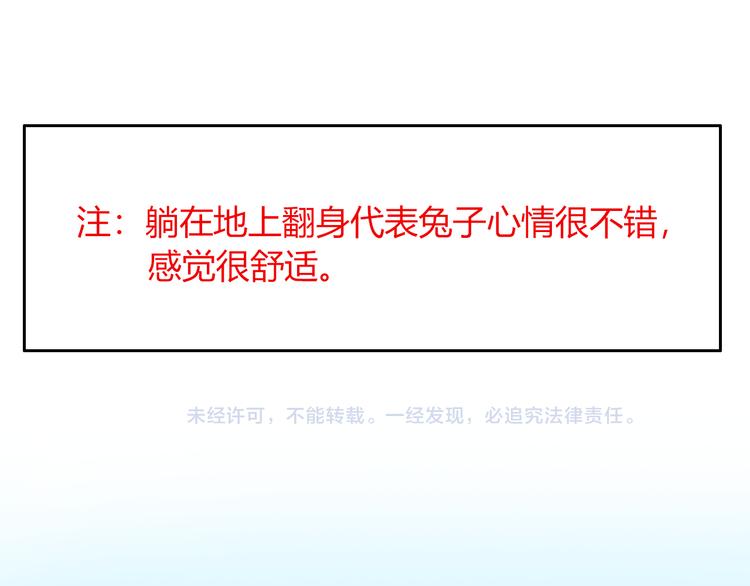 特别篇 关于兔子的那些事0415