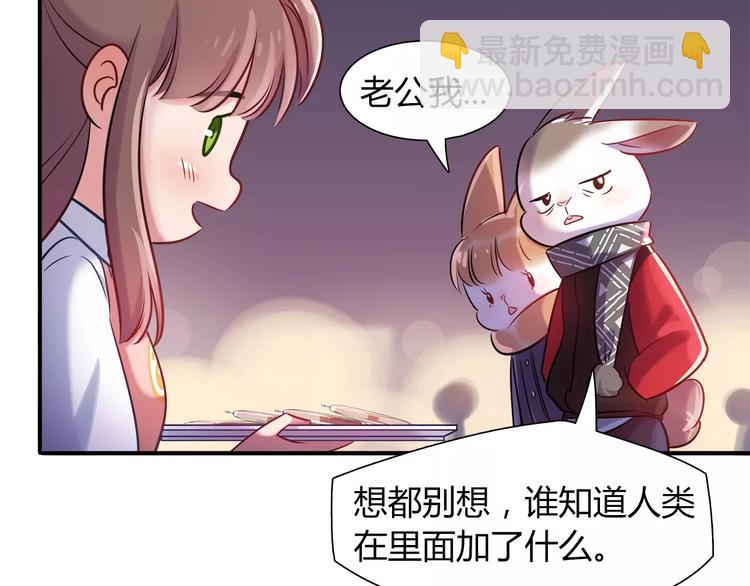 第24话 人兔都可以吃的饼干13