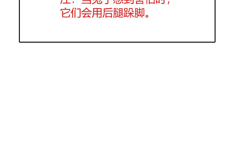 特别篇 关于兔子的那些事047