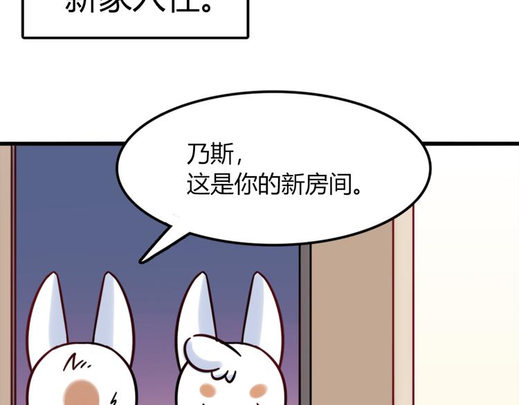 特别篇 关于兔子的那些事021